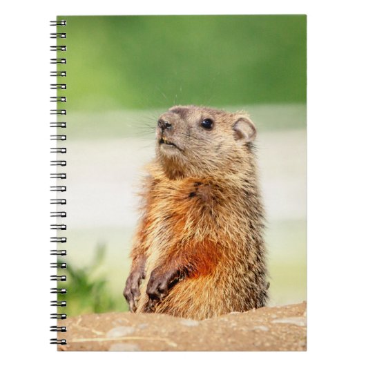 Young Groundhog Notitieboek (Voorkant)