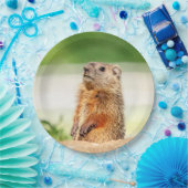 Young Groundhog Papieren Bordje (Feest)