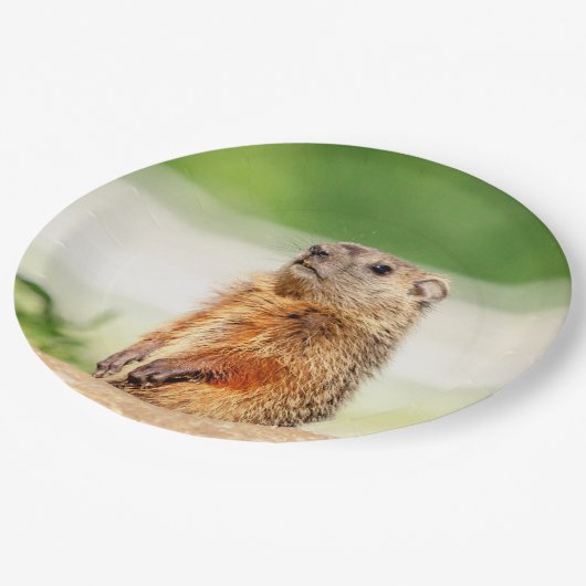 Young Groundhog Papieren Bordje (Gekanteld)