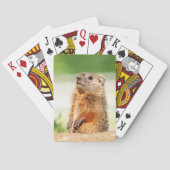 Young Groundhog Pokerkaarten (Achterkant)