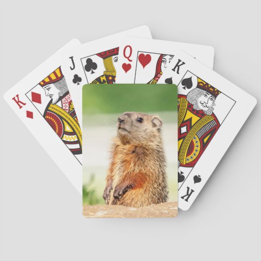 Young Groundhog Pokerkaarten (Achterkant)