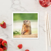 Young Groundhog Servetten (Insitu)