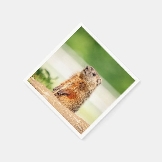 Young Groundhog Servetten (Hoek)