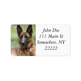 Young GSD Etiket