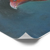 Young Guinea Love Poster (Hoek)