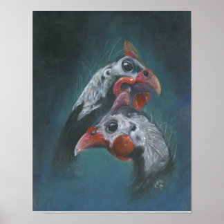 Young Guinea Love Poster