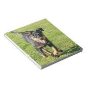 Young happy Beauceron sheepdog running in the gras Notitieblok (Schuin)