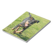 Young happy Beauceron sheepdog running in the gras Notitieblok (Linkerzijde)