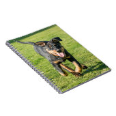 Young happy Beauceron sheepdog running in the gras Notitieboek (Rechterzijde)