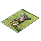 Young happy Beauceron sheepdog running in the gras Notitieboek (Linkerzijde)