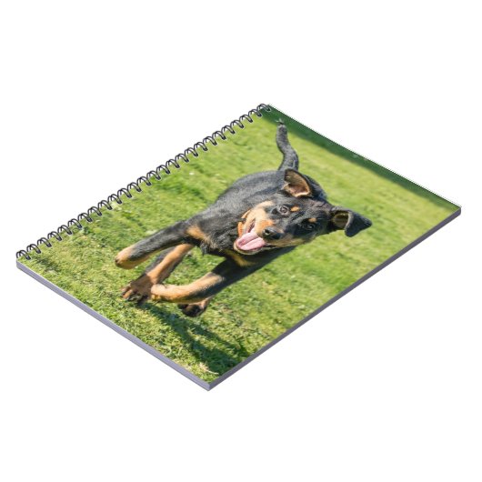 Young happy Beauceron sheepdog running in the gras Notitieboek (Linkerzijde)