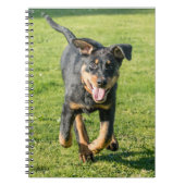 Young happy Beauceron sheepdog running in the gras Notitieboek (Voorkant)