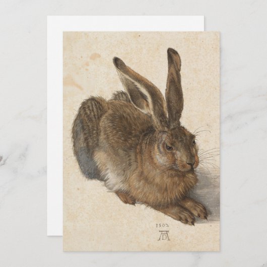 Young Hare | Albrecht Dürer (Voorkant / Achterkant)