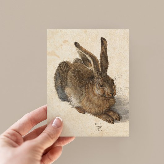 Young Hare | Albrecht Dürer Briefkaart