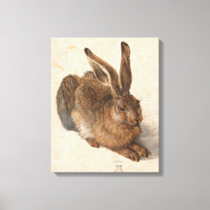 Young Hare   Albrecht Dürer Canvas Afdruk