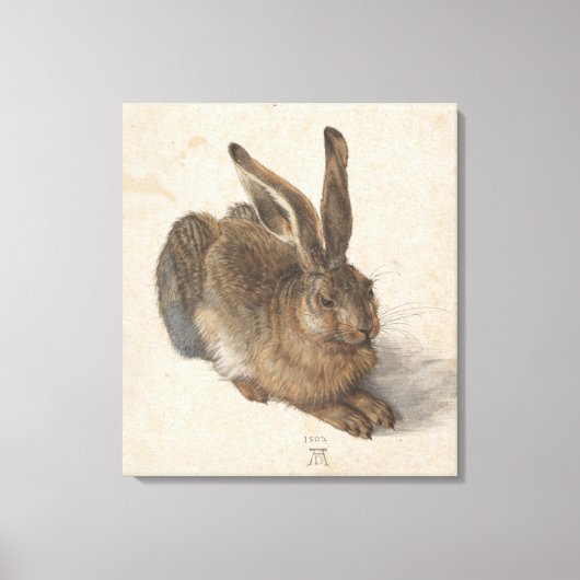 Young Hare Albrecht Durer Canvas Afdruk (Voorkant)