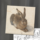 Young Hare | Albrecht Dürer Magneet