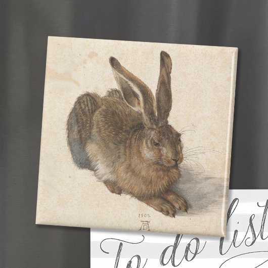 Young Hare | Albrecht Dürer Magneet