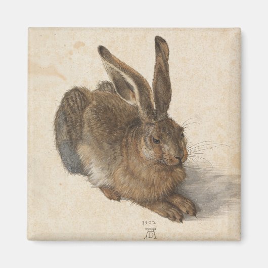 Young Hare | Albrecht Dürer Magneet (Voorkant)