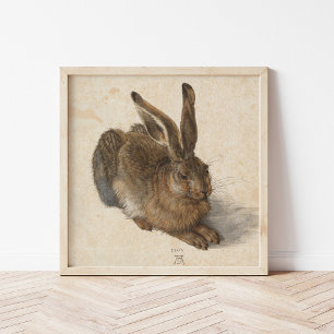 Young Hare   Albrecht Dürer Poster