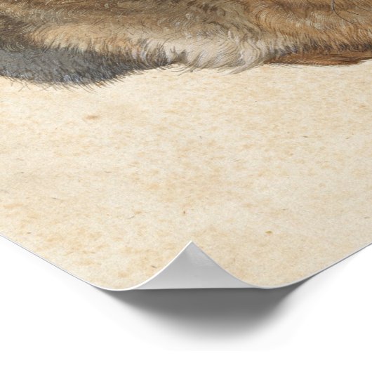 Young Hare | Albrecht Dürer Poster (Hoek)