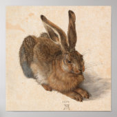 Young Hare | Albrecht Dürer Poster (Voorkant)