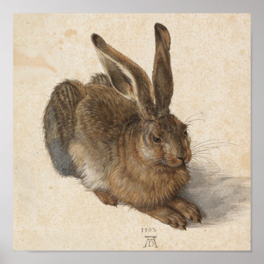 Young Hare | Albrecht Dürer Poster (Voorkant)