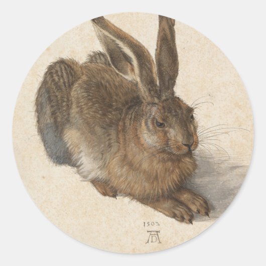 Young Hare | Albrecht Dürer Ronde Sticker (Voorkant)