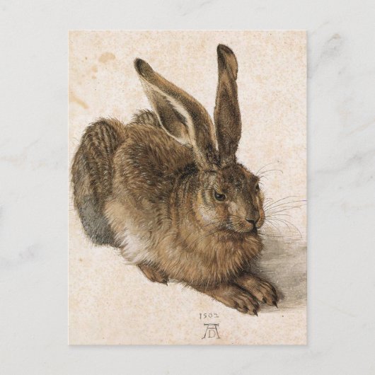 "Young Hare" Briefkaart (Voorkant)