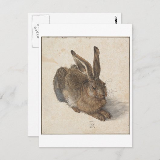 Young Hare by Albrecht Durer Briefkaart (Voorkant / Achterkant)