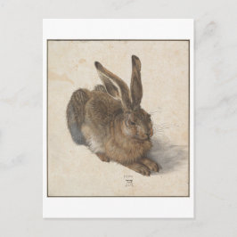 Young Hare by Albrecht Durer Briefkaart