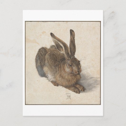 Young Hare by Albrecht Durer Briefkaart (Voorkant)