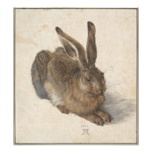 Young Hare by Albrecht Durer