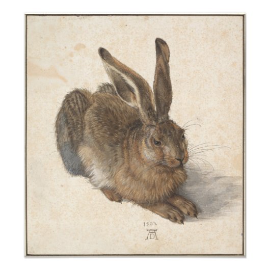 Young Hare by Albrecht Durer Foto Afdruk (Voorkant)
