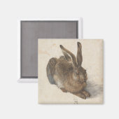 Young Hare by Albrecht Durer Magneet (Voorkant / Achterkant)