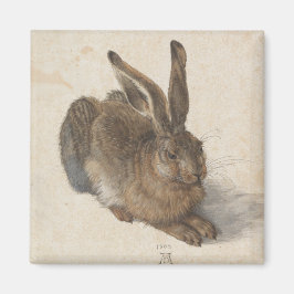 Young Hare by Albrecht Durer Magneet