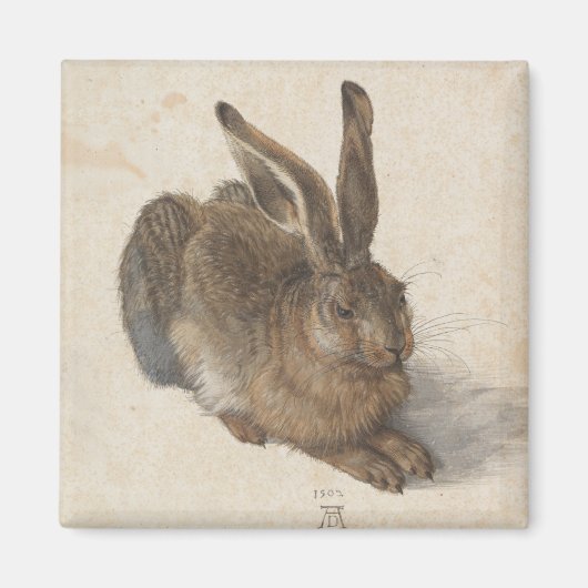 Young Hare by Albrecht Durer Magneet (Voorkant)