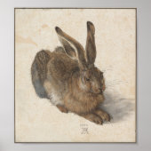Young Hare by Albrecht Durer Poster (Voorkant)