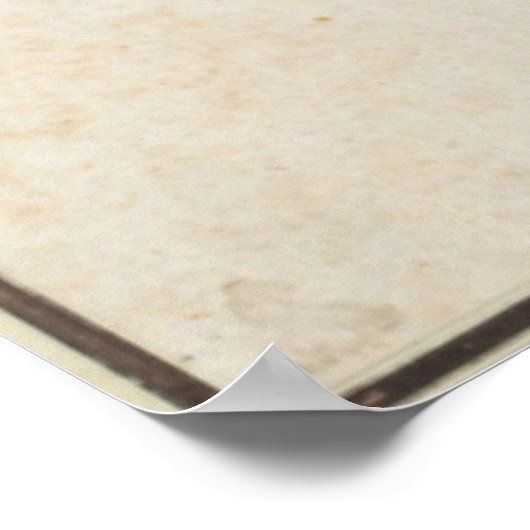 Young Hare by Albrecht Durer Poster (Hoek)