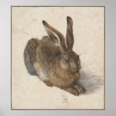 Young Hare by Albrecht Durer Poster (Voorkant)