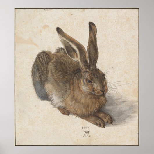 Young Hare by Albrecht Durer Poster (Voorkant)