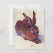 Young Hare by Albrecht Durer, Renaissance Fine Art (Voorkant)