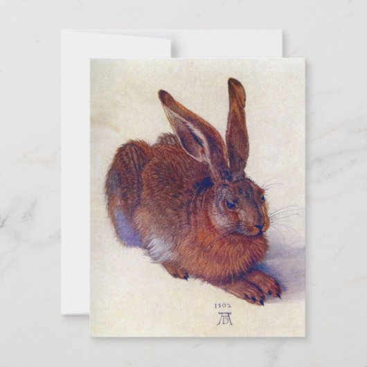 Young Hare by Albrecht Durer, Renaissance Fine Art (Voorkant)