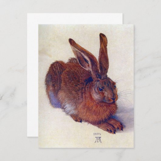 Young Hare by Albrecht Durer, Renaissance Fine Art (Voorkant / Achterkant)