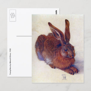 Young Hare by Albrecht Durer, Renaissance Fine Art Briefkaart
