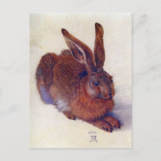 Young Hare by Albrecht Durer, Renaissance Fine Art Briefkaart (Voorkant)