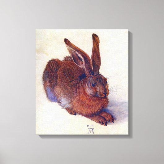 Young Hare by Albrecht Durer, Renaissance Fine Art Canvas Afdruk (Voorkant)