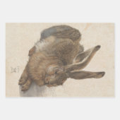 Young Hare by Albrecht Durer, Renaissance Fine Art Inpakpapier Vel (Voorkant 2)