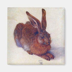 Young Hare by Albrecht Durer, Renaissance Fine Art Magneet
