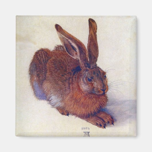 Young Hare by Albrecht Durer, Renaissance Fine Art Magneet (Voorkant)